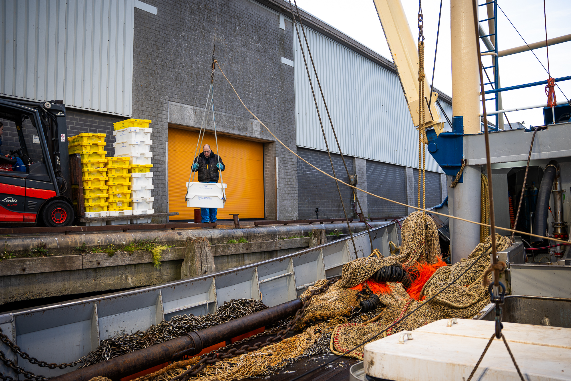 Visafslag Ijmuiden