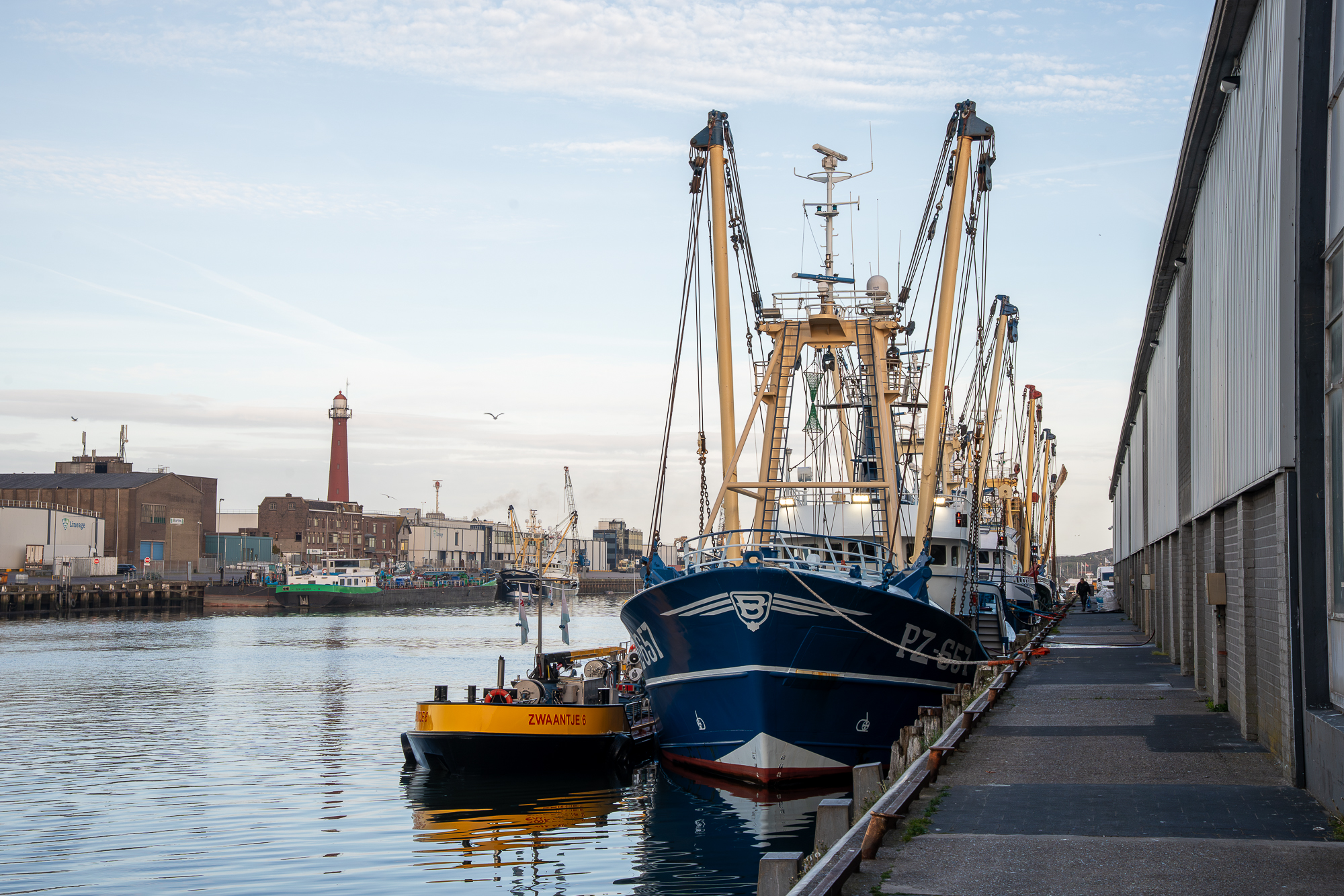 Vissersboten in Ijmuiden